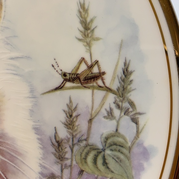 Royal Kent Bone China Cat Collectors Plate - Picture 3 of 7